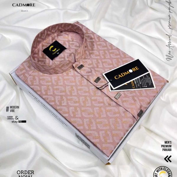 Lite Afsan Pale Pink Panjabi cod-P12